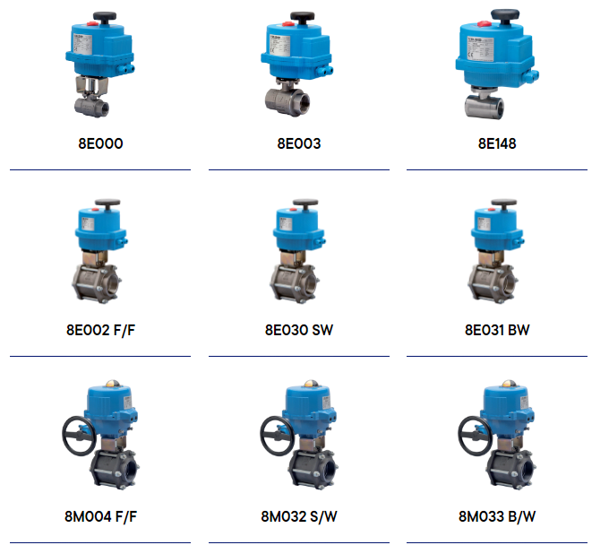تصاميم الحزم الكهربائي من فالبيا